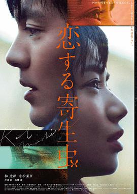 小成本电影排片逆跌现象分析